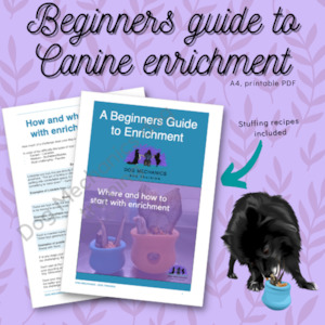 Digital Downloads And Books: Beginners Guide to Enrichment - digital download. PDF