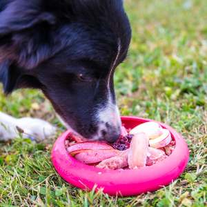 Mats And Trays: LickiMat UFO