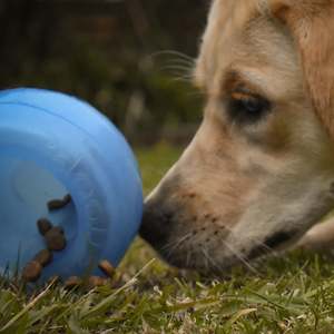 Food Toys: Planet Dog - Snoop