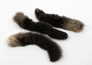 Novelty Enrichment: Possum Tail