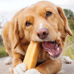 Edibles: Himalayan Hard Cheese Chew