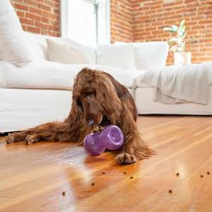 All: Planet Dog - Double Snoop