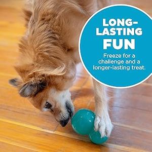 All: Planet Dog - Double tuff