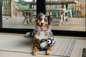 P.L.A.Y. Forest Friends Robby the Raccoon