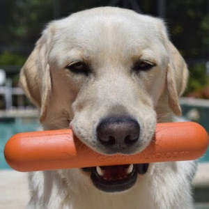 Guaranteed Toys: Goughnuts - Stick