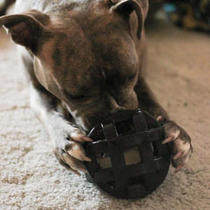 All: JW Hol-ee Roller X