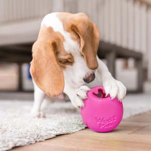 All: West Paw - Rumbl LIMITED EDITION COLOURS