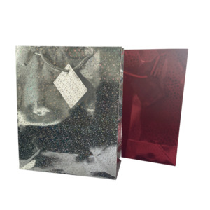 Xmas: Medium Gift Bag - Holographic 24x10x29cm