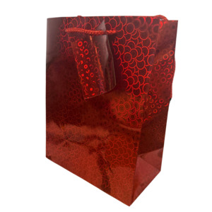 Small Gift Bag - Holographic 18x10x23cm