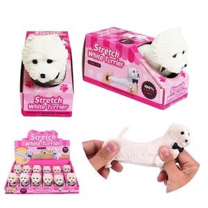 New Arrivals: Stretch White Terrier Asstd