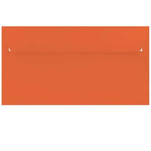 Colour Essentials: Nutmeg - 114x225mm (DLE)