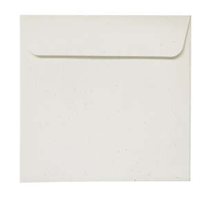 White: Birchwood - 180x180mm (SQUARE) - Recycled Off-White