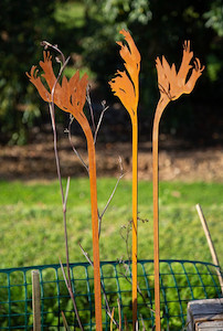 Harakeke Flax flowers set of 3 Epic Aotearoa