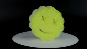 Sunny Scrub Epic Distributors