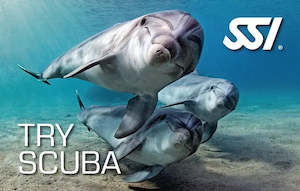Courses: SSI TRY SCUBA