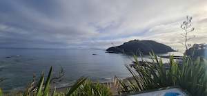 Courses: GOAT ISLAND Leigh, Private Guided Shore Dive