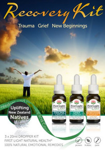 Products: Grief Support - Care and Comfort Epiphany Accounting