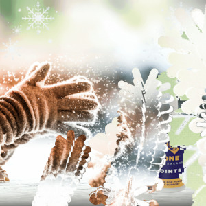 ❄️ Winter Wonder Pack – 25% Off ❄️