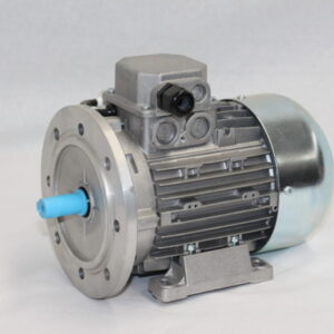 1 & 3 Phase Electric Motor