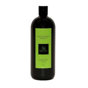 JUDGES CHOICE BRILLANT SHINE SHAMPOO