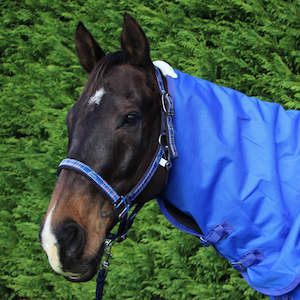 PESSOA PLAID PADDED HALTER