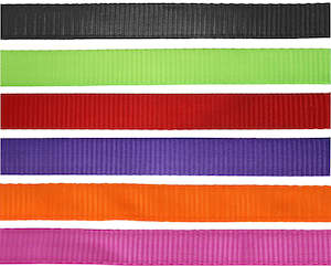 Halters Leads: FLAIR HEAVY DUTY NYLON WEB HALTER