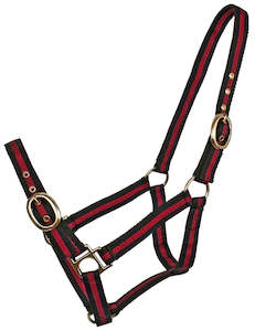 Halters Leads: Blue tag stripped web halter
