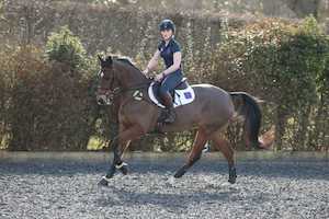 Horse Boots: KM ELITE PRO-MESH HYBRID BOOT ~ BLACK/ELECTRIC BLUE- 3 Strap