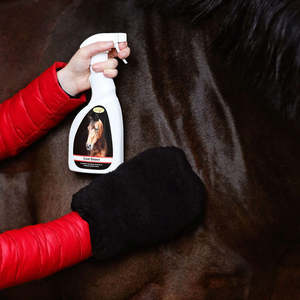 Colour Shine: Coat Sheen