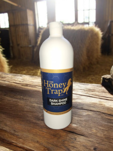 Colour Shine: Dark Shine Shampoo