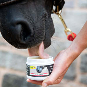 Smart Grooming: Lip & Bit Balm