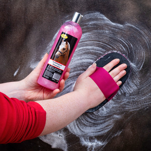 Smart Grooming: Bubblegum Shampoo