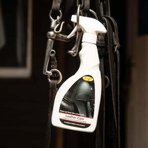 Smart Grooming: Leather Care