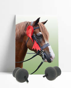 Perform Equine Heritage Earplugs