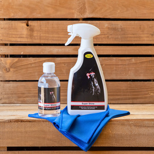 Turnout Showing: Super Shine Duo