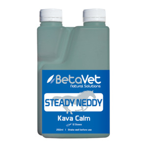 Supplements: STEADY NEDDY