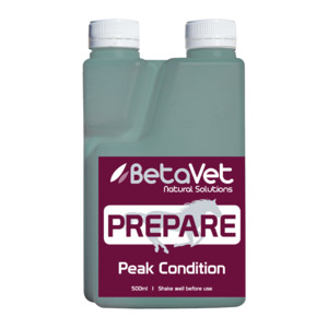 Supplements: PREPARE
