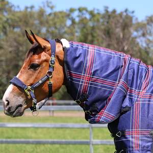 Neeta Patch: Crusader 200 Neck Rug