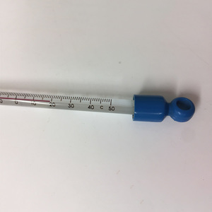 Products: Thermometer