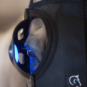 Products: Equilume Light Mask Belfield (Seasonal battery)