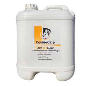 EquineCare Gut Probiotic 20L – Bulk Size for Multi-Horse Properties