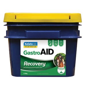 GastroAID Recovery