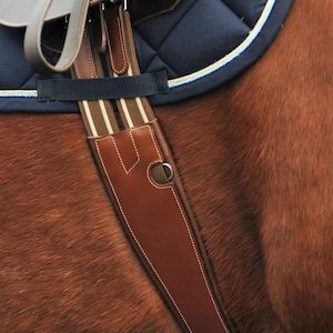 Products: Kentaur ‘Verona’ Girth