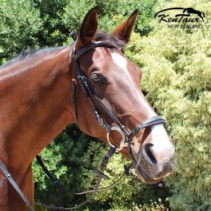 Products: Kentaur ‘Clarksville’ Bridle