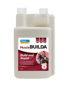 Products: MuscleBUILDA