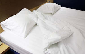 Bed Linen: Duvet Protector - Waterproof