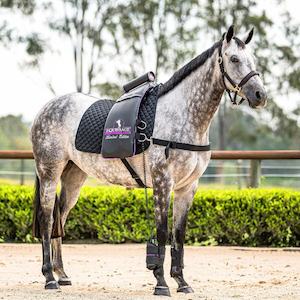 Products: Edge Professional Set Equissage CVT Therapy NZ