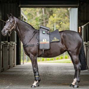 Products: Equissage Edge Set Full-Body CVT Therapy for Horses