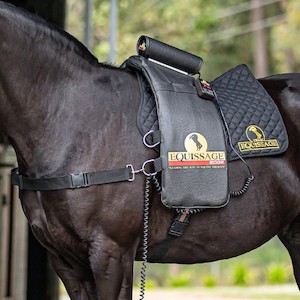 Equissage Edge Back Pad CVT Horse Therapy