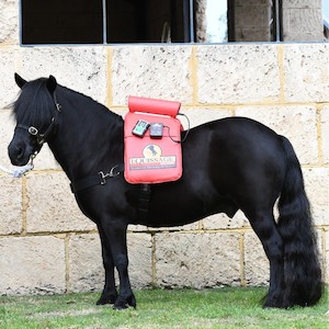 Equissage Pony Pad CVT Therapy for Ponies & Young Horses